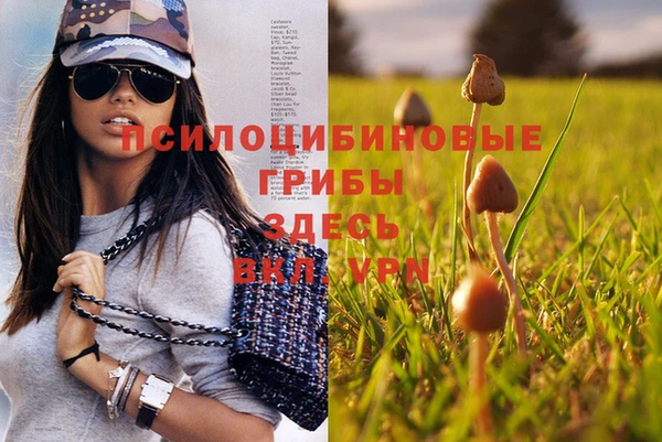 экстази Алзамай