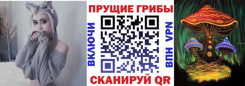 Галлюциногенные грибы Magic Shrooms  где купить наркоту  Бийск 